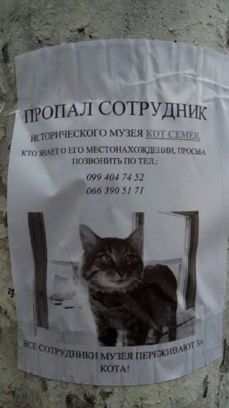 Пожалуйста, помогите найти беглеца Пожалуйста, помогите найти беглеца