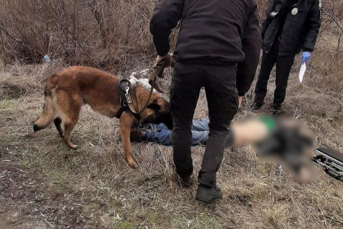 Труп мужчины обнаружили на обочине дороги на улице Лужниковой