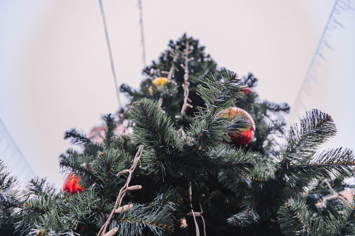 Снизу кажется, будто она бесконечна Снизу кажется, будто она бесконечна