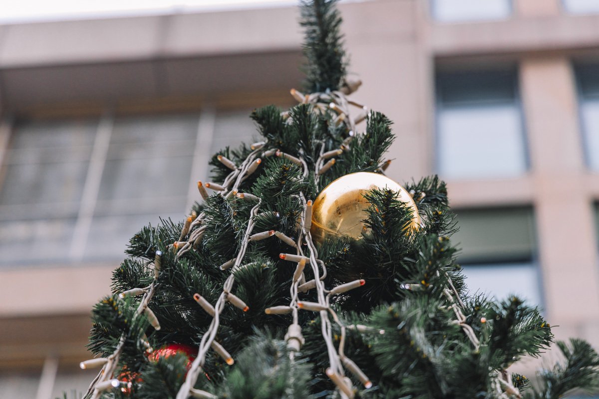 Прекрасна и без звезды Прекрасна и без звезды