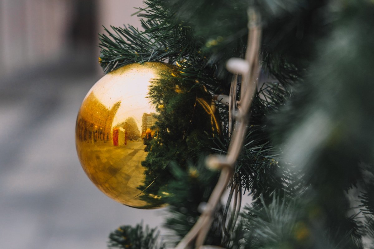 В иголках В иголках