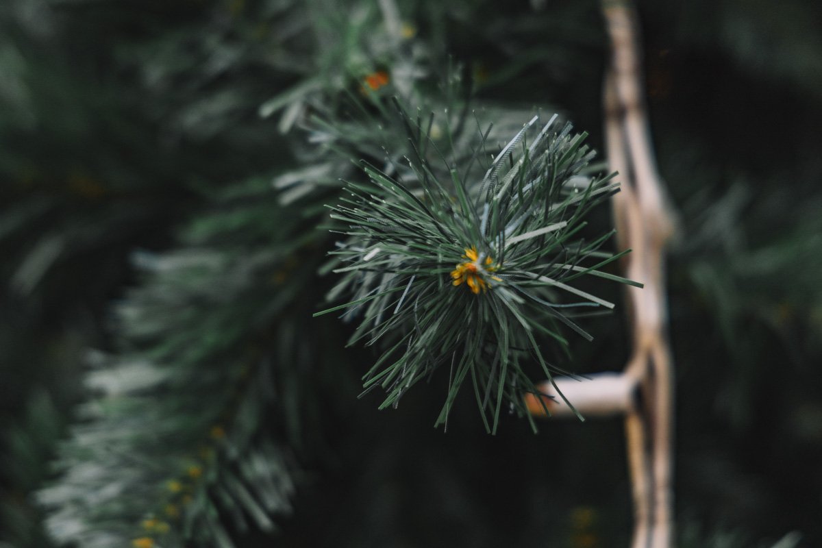 Так и просится на заставку рабочего стола Так и просится на заставку рабочего стола