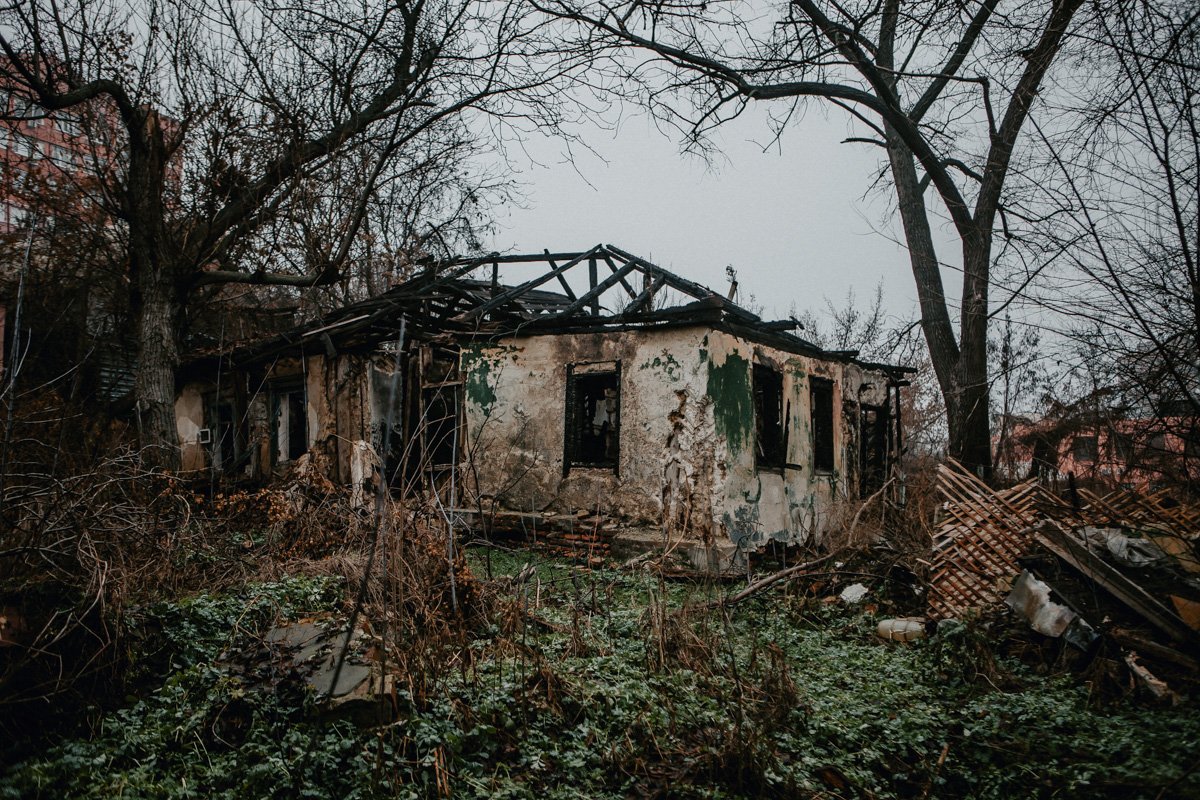 Природа побеждает Природа побеждает