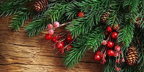 Как жителям Днепра украсить елку и не навредить природе 4