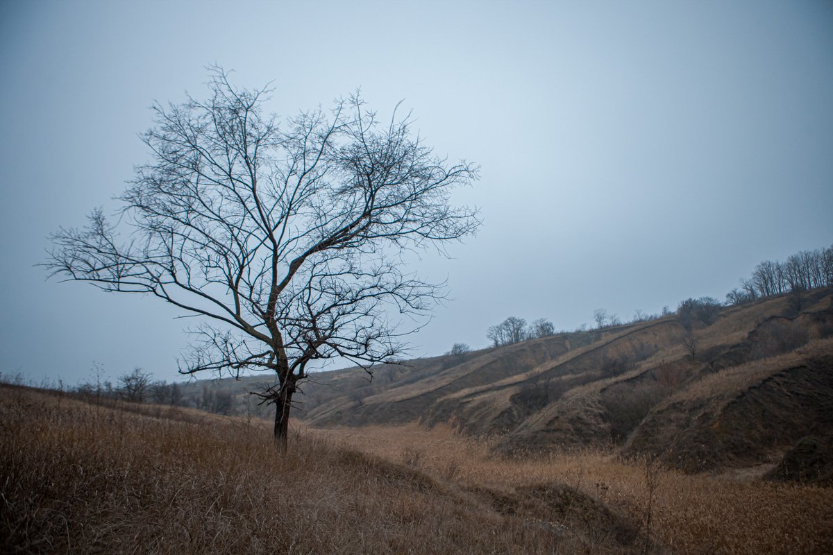 Тут бы гулять