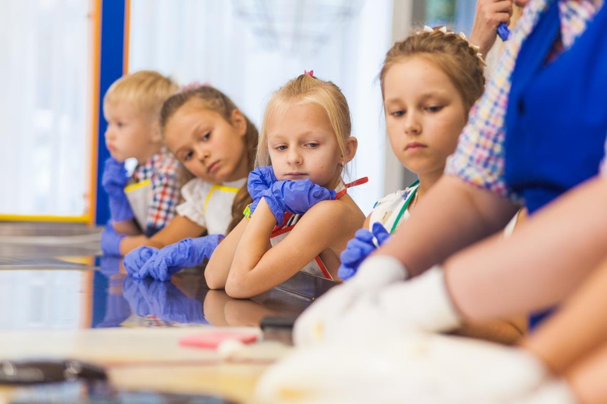 Концерт Instasamka и раздача котиков: ТОП мероприятий, куда стоит пойти в Днепре на выходных 2