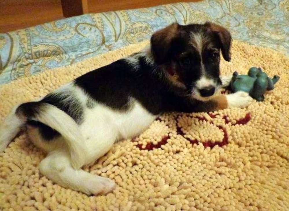 Маленький карапузик мечтает стать частью твоей семьи