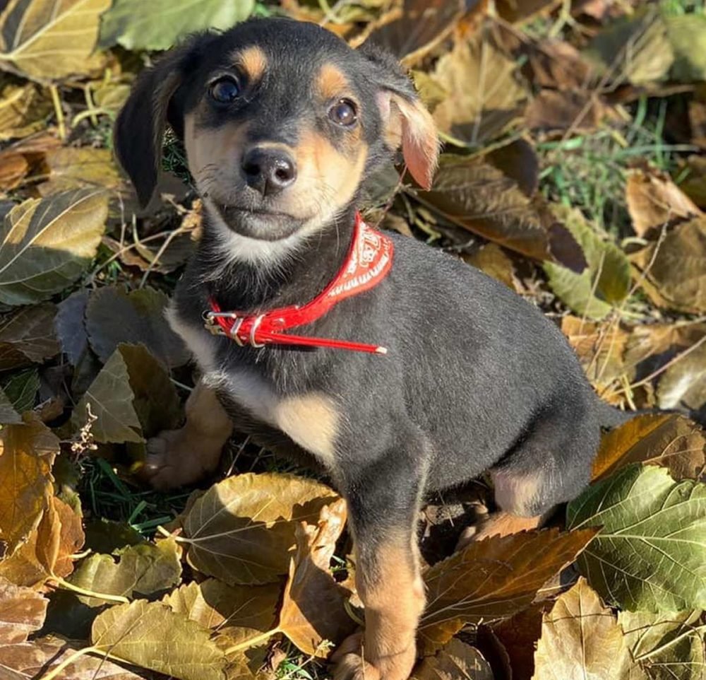 Быть таким милым - это вообще законно? :3