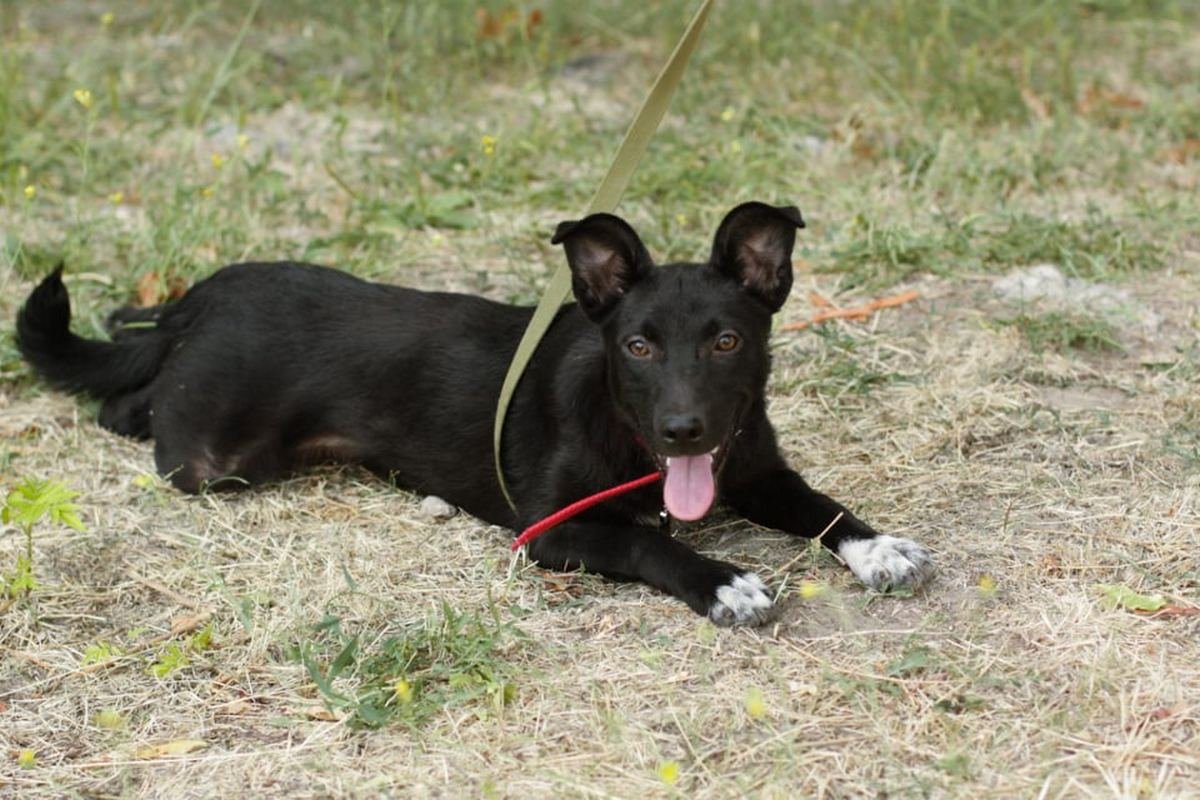 Готова стать твоим лучшим другом