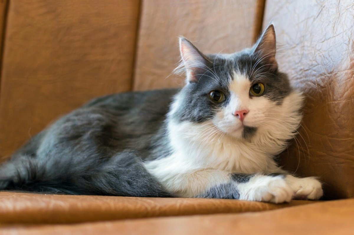 Майор Бусинка всегда на страже хорошего настроение