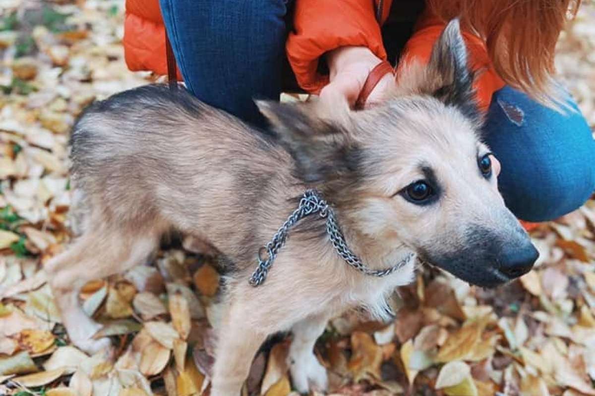 Очаровательная девочка готова быть рядом с вами 24/7