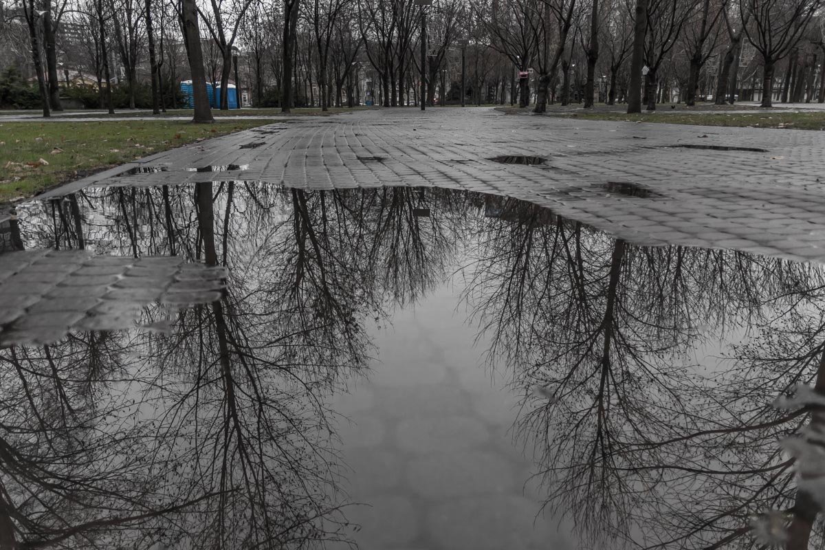 Ливень умывал проспекты, пока холодный ветер раскачивал голые ветки деревьев Ливень умывал проспекты, пока холодный ветер раскачивал голые ветки деревьев