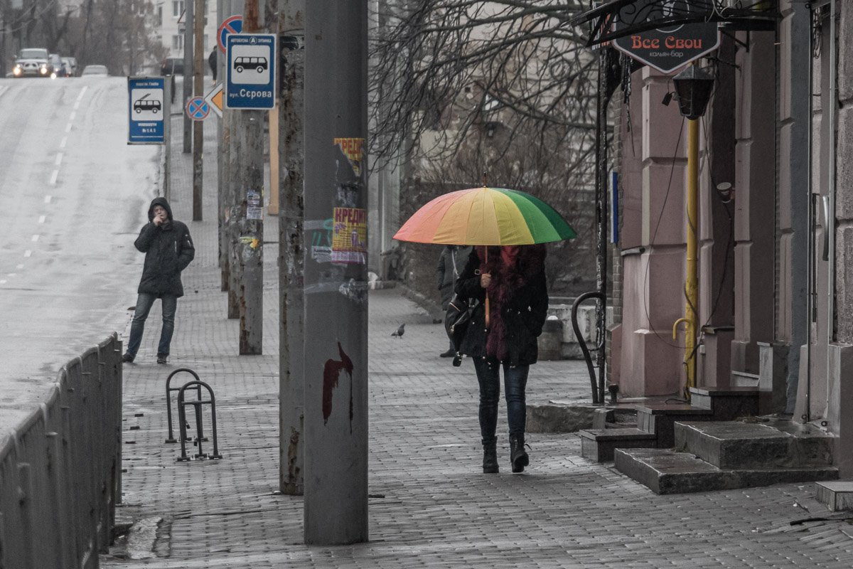 Яркие зонты радуют  Яркие зонты радуют