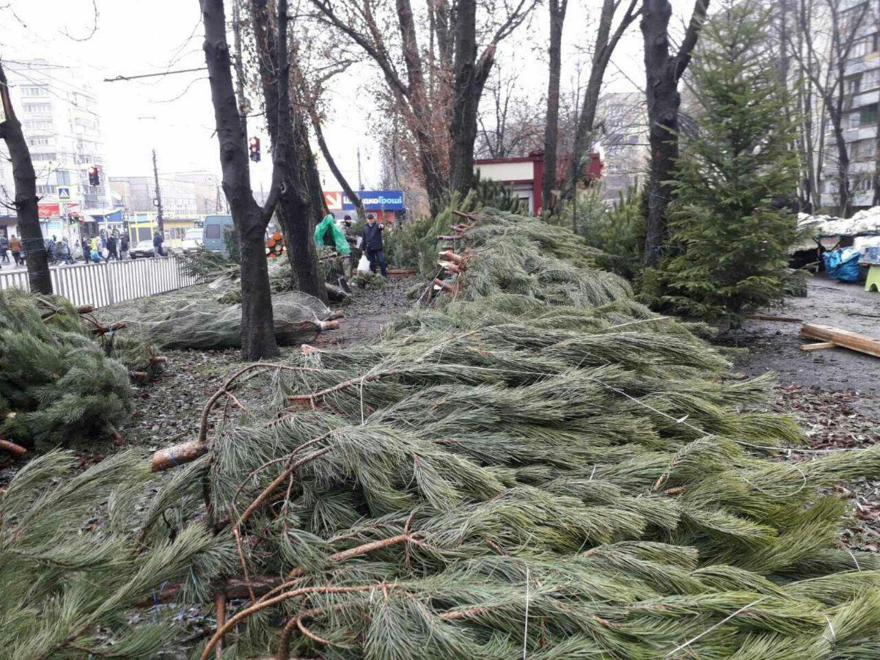 Рынок на жилмассиве Тополь-1 Рынок на жилмассиве Тополь-1