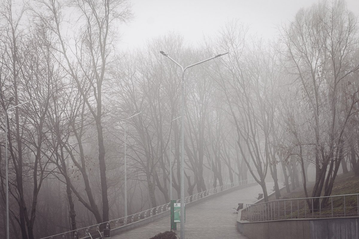 Шуршанье ветра о стволы, шуршанье крыш под облаками,