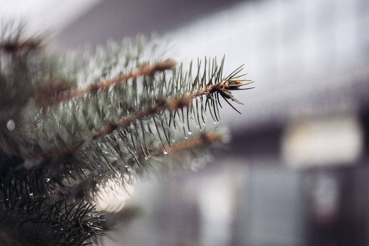 не думал ты хоть раз о том, что где-то здесь она таилась: