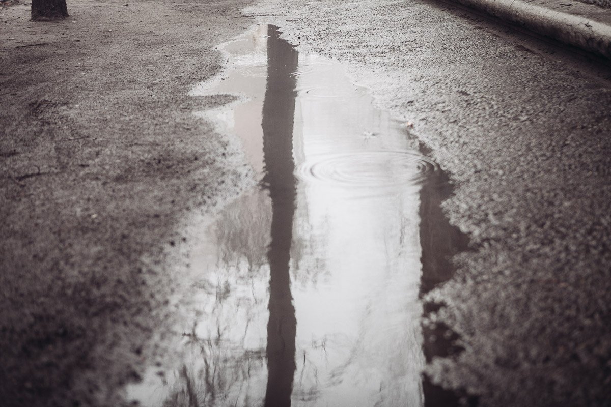 в кладовках тех, где свален хлам... Но видно, ей там тесно было,