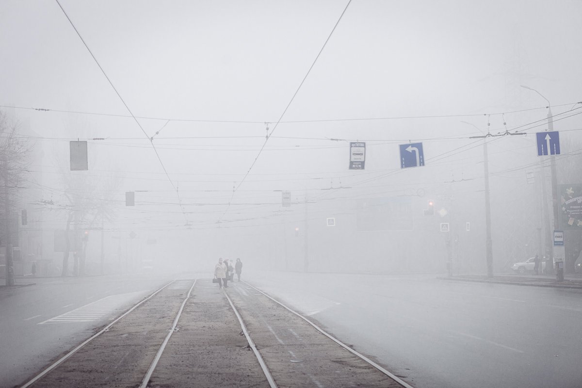 она росла по всем углам и все заполонила.