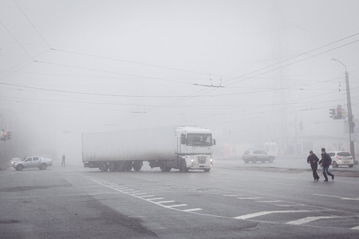 она пришла, должно быть, с гор, спустилась к нам с вершин прекрасных: