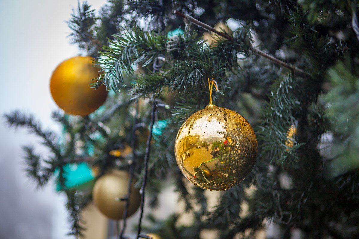 Елочку украсили цветными шариками Елочку украсили цветными шариками