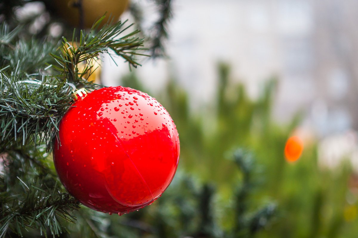 Приходите сделать фото Приходите сделать фото