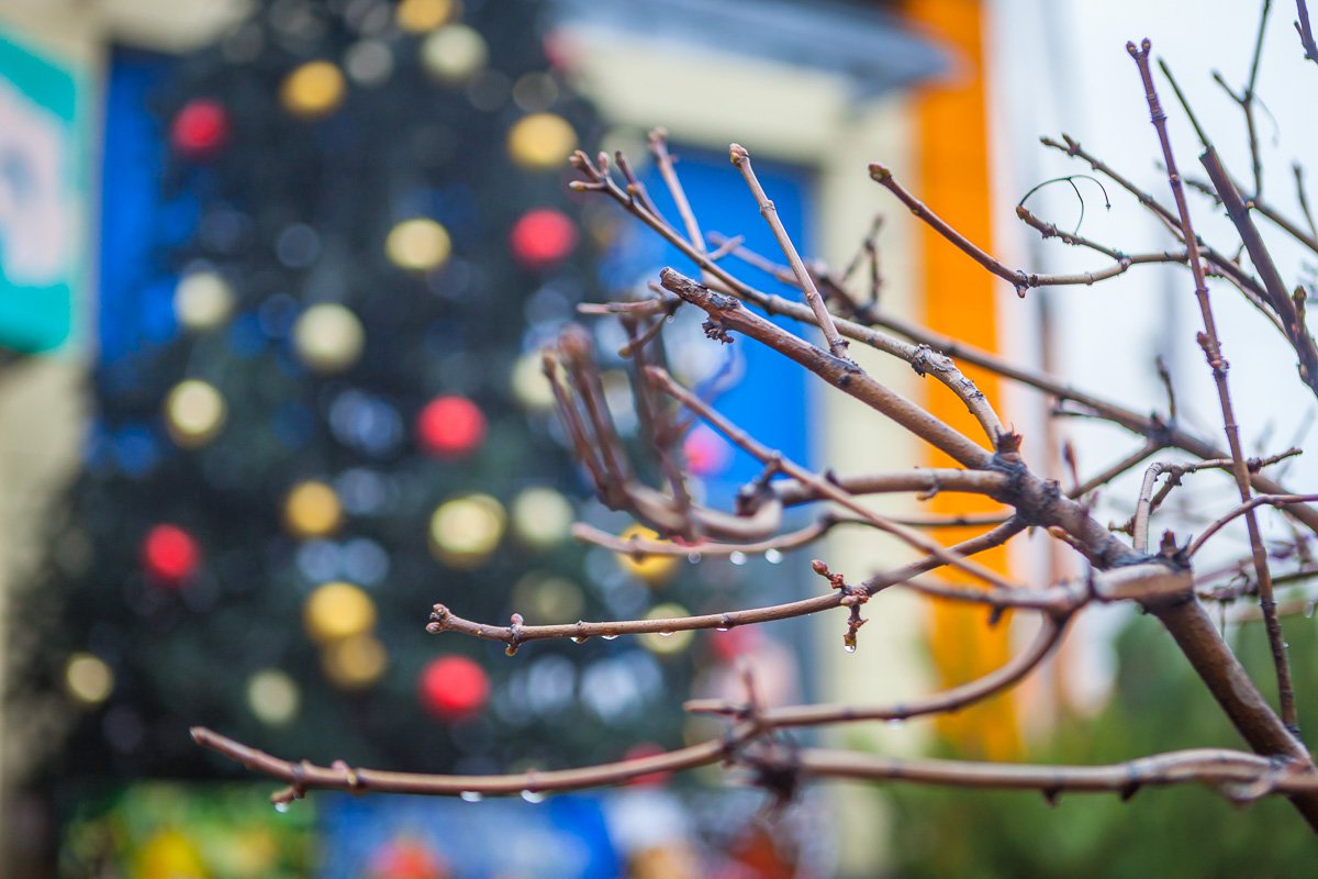 Праздники ис камин Праздники ис камин