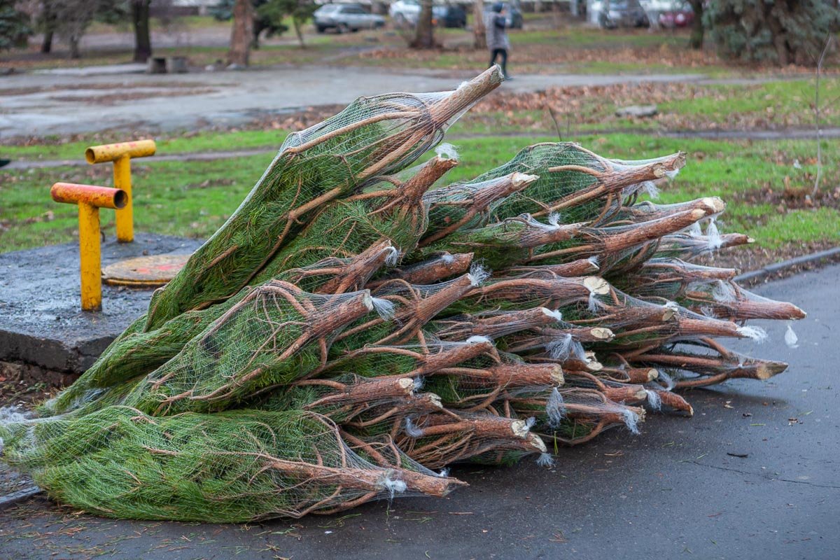 Эти 300 - 500 Эти 300 - 500