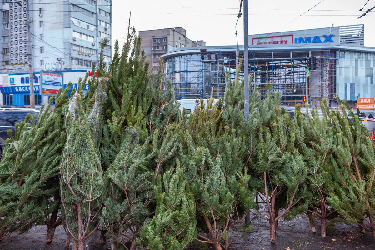 Проверяйте штрих-коды Проверяйте штрих-коды