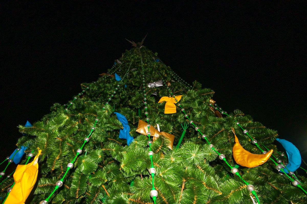 Елку установили 1-го декабря 