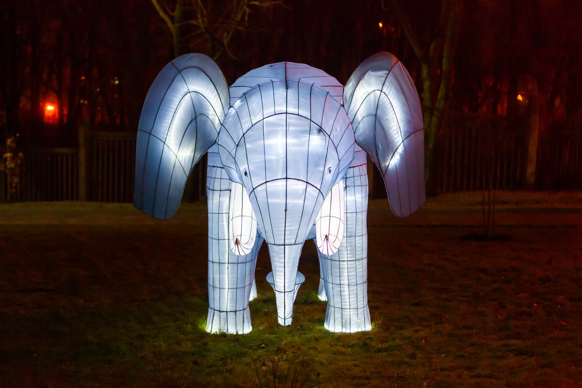 Со слоником можно сделать фото на память 