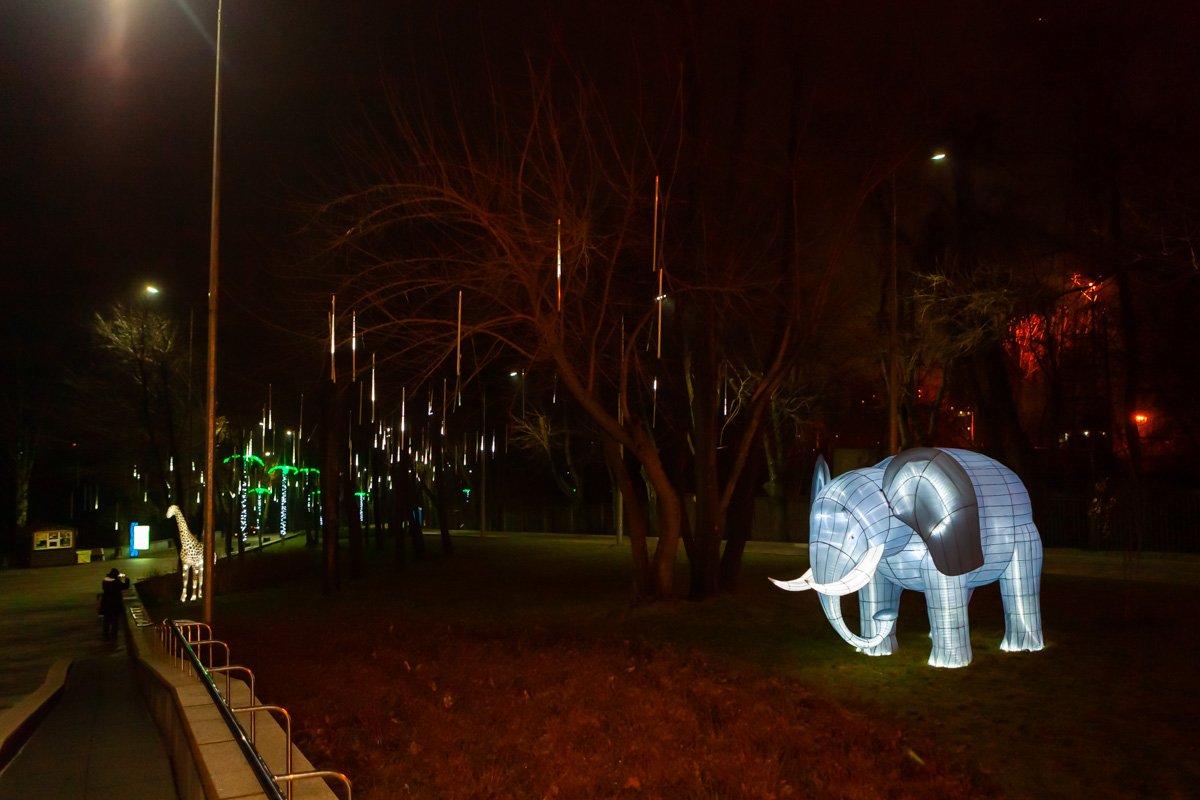 В парке светло как днем 