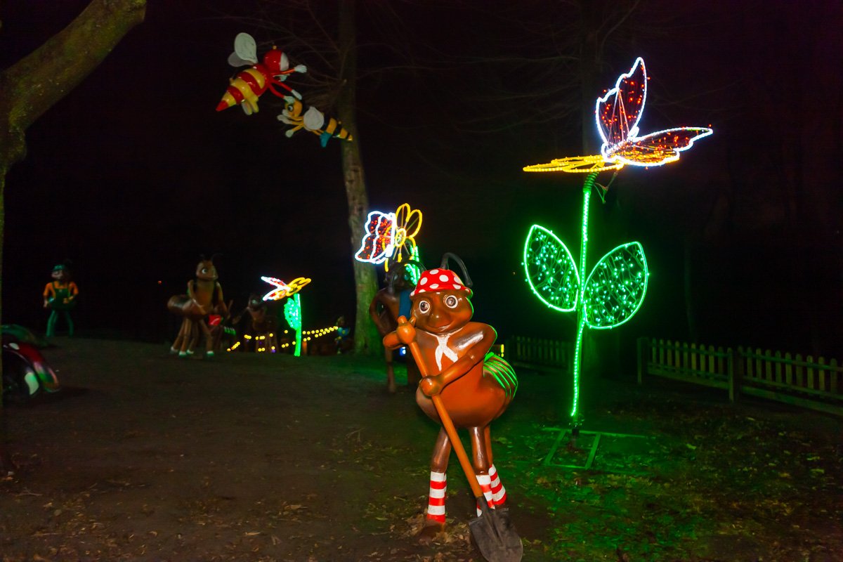 Это муравьи 