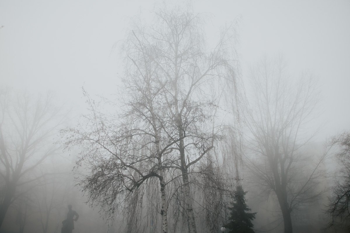 Молочный Днепр