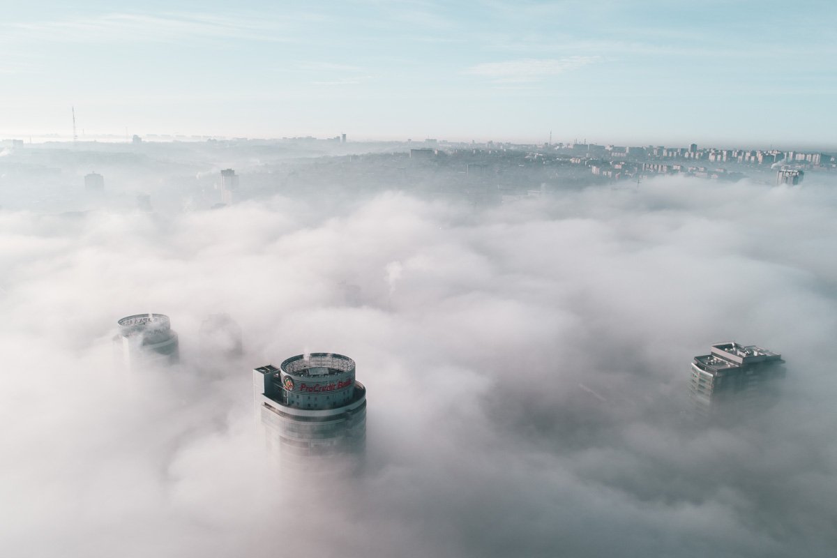 край пахоты с огромными скворцами