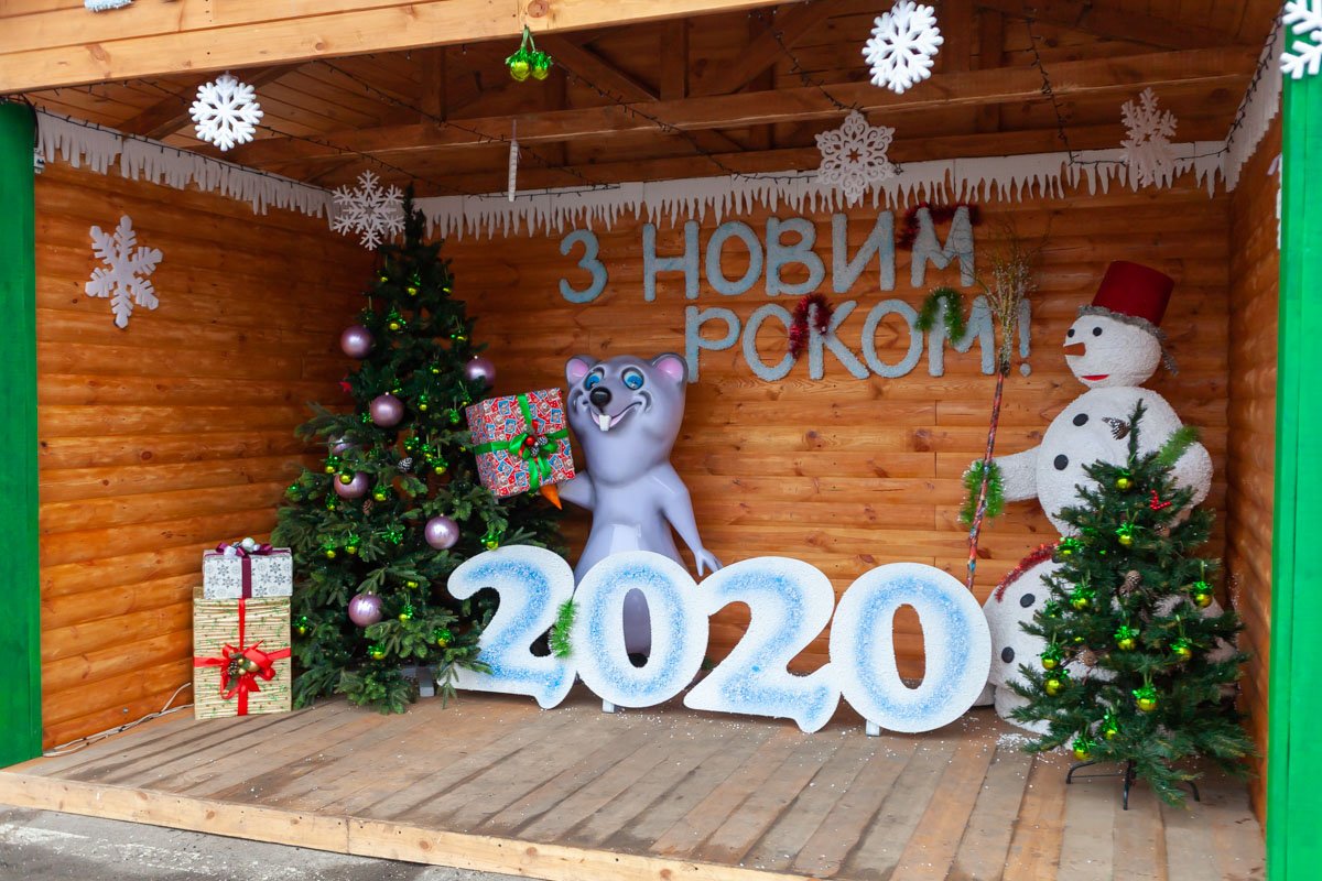 Большой и страшный серый крыс