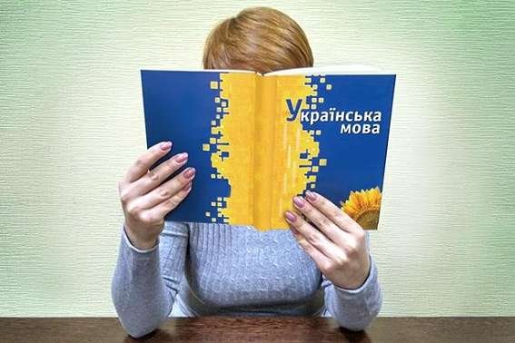 Тут вы получите новые знания Тут вы получите новые знания