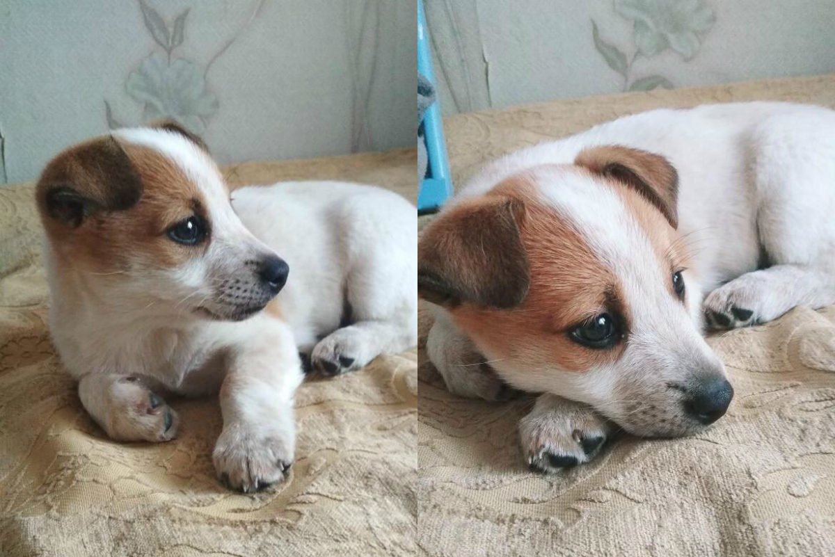 В этих глазках целая Вселенная В этих глазках целая Вселенная