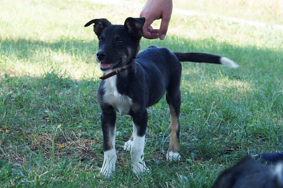 Сами не заметите, как влюбитесь в этого мальчишку Сами не заметите, как влюбитесь в этого мальчишку