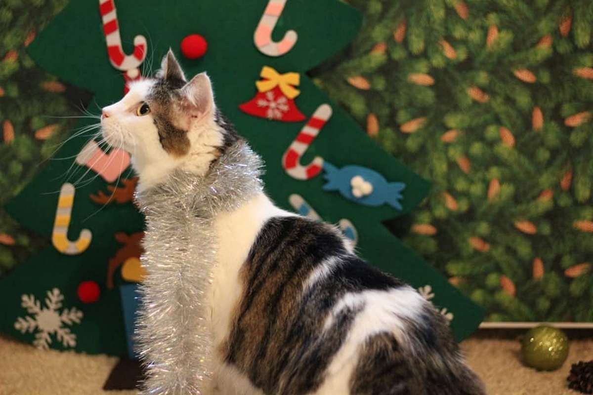 Сами не заметите, как влюбитесь в нее Сами не заметите, как влюбитесь в нее