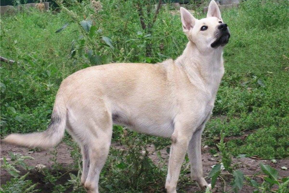 Умная девочка явно заслуживает лучшей жизний Умная девочка явно заслуживает лучшей жизний