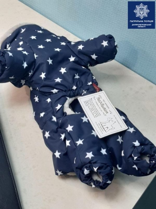 Собачья мода Собачья мода