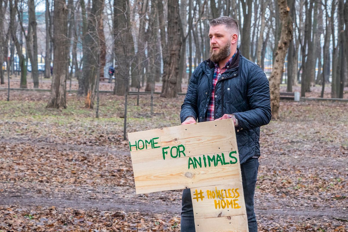 Такие домики могут появиться во всех районах