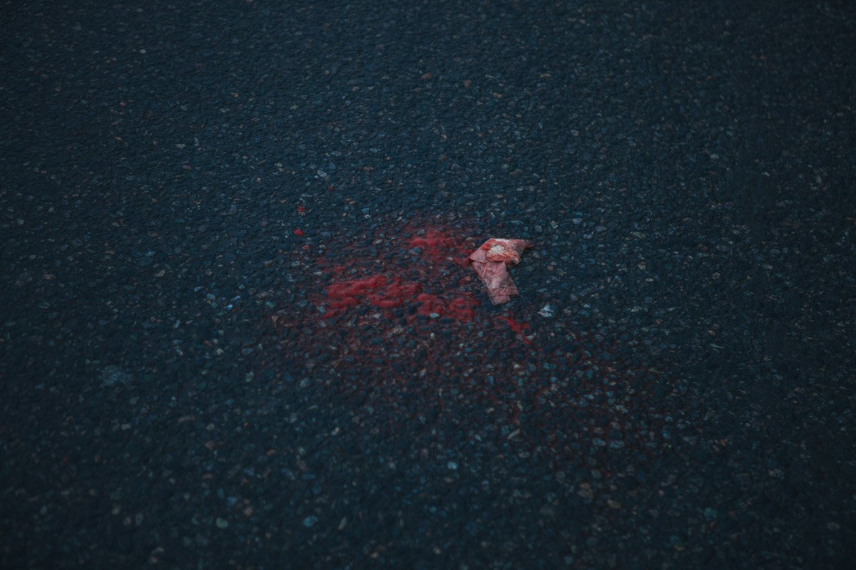 Оказывали помощь Оказывали помощь