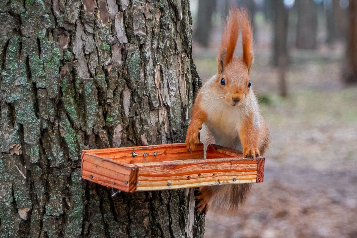 Она ждет своих новых друзей Она ждет своих новых друзей