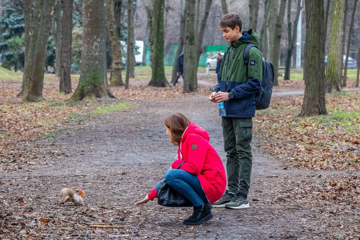 Дружба Дружба