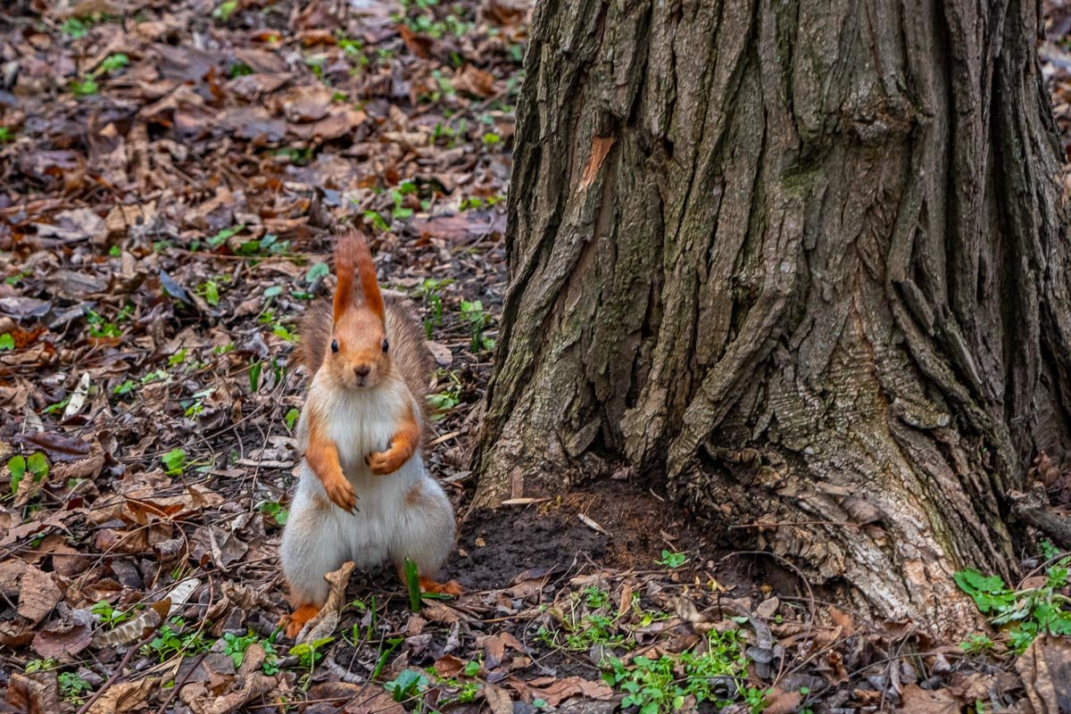 Эй ты, подойди сюда Эй ты, подойди сюда