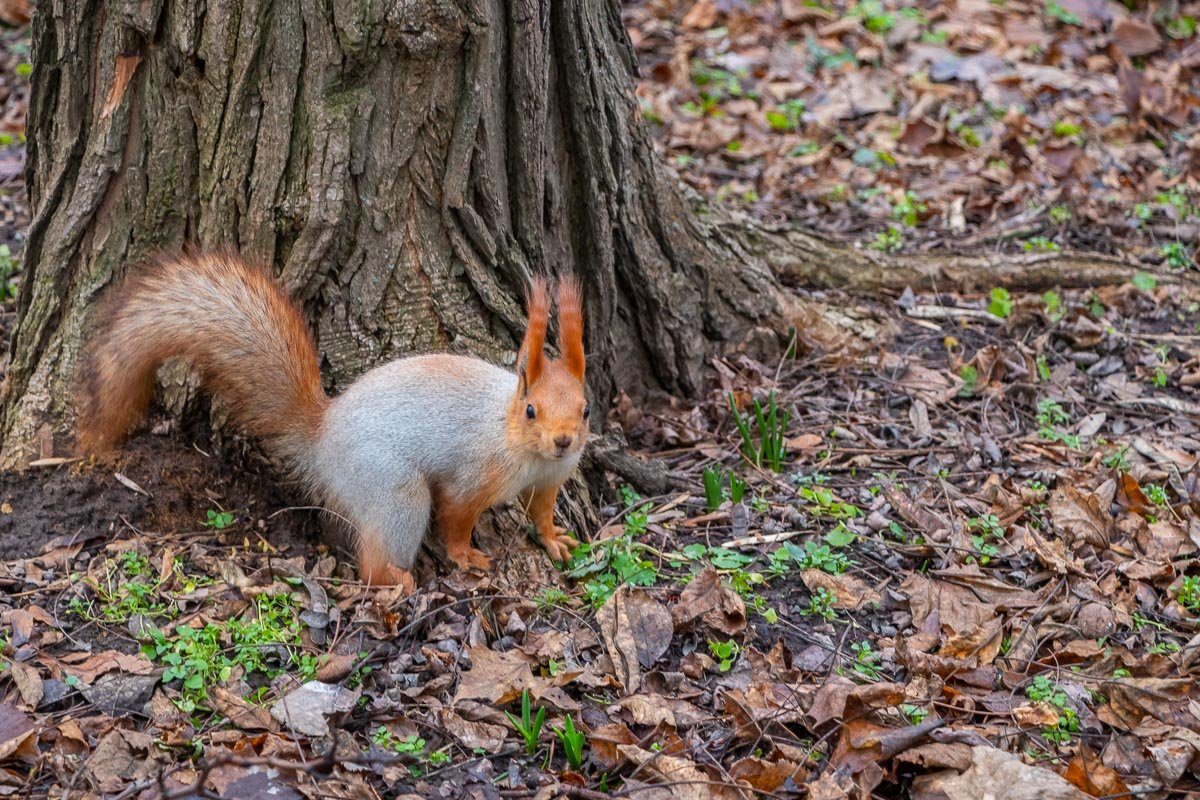 Я вижу тебя Я вижу тебя