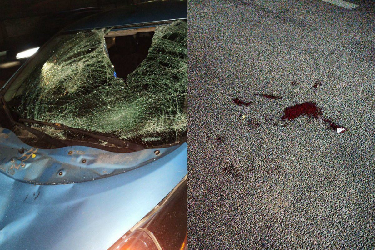 В Днепре на Маршала Малиновского Nissan сбил мужчину: полиция ищет свидетелей В Днепре на Маршала Малиновского Nissan сбил мужчину: полиция ищет свидетелей