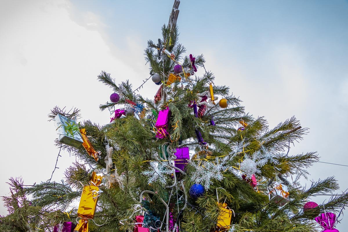 Ну и что, что без снега? Ну и что, что без снега?