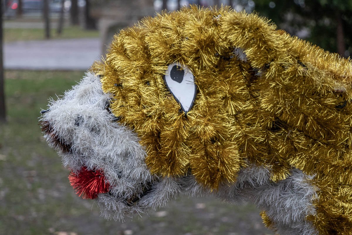 Что я такое?